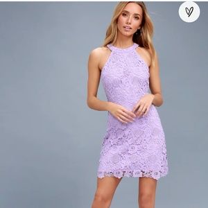 Lavender lace mini dress